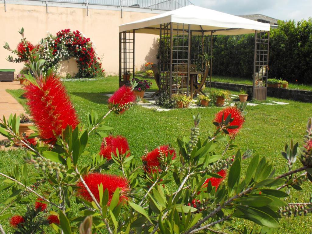 Villa Etruria Guest House Pitigliano Exterior foto
