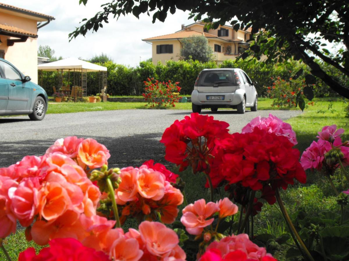 Villa Etruria Guest House Pitigliano Exterior foto